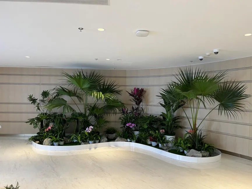 揭秘江北盆景出租哪家好，这家亮点多多别错过！